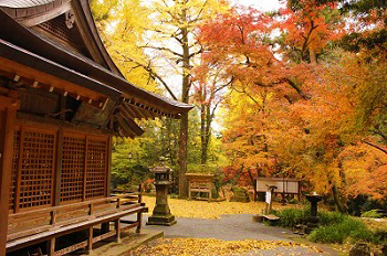 美奈宜神社の紅葉の様子-1