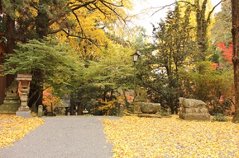美奈宜神社の紅葉の様子-3