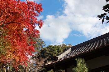 清岩禅寺の紅葉の様子-3
