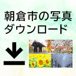 写真ダウンロード