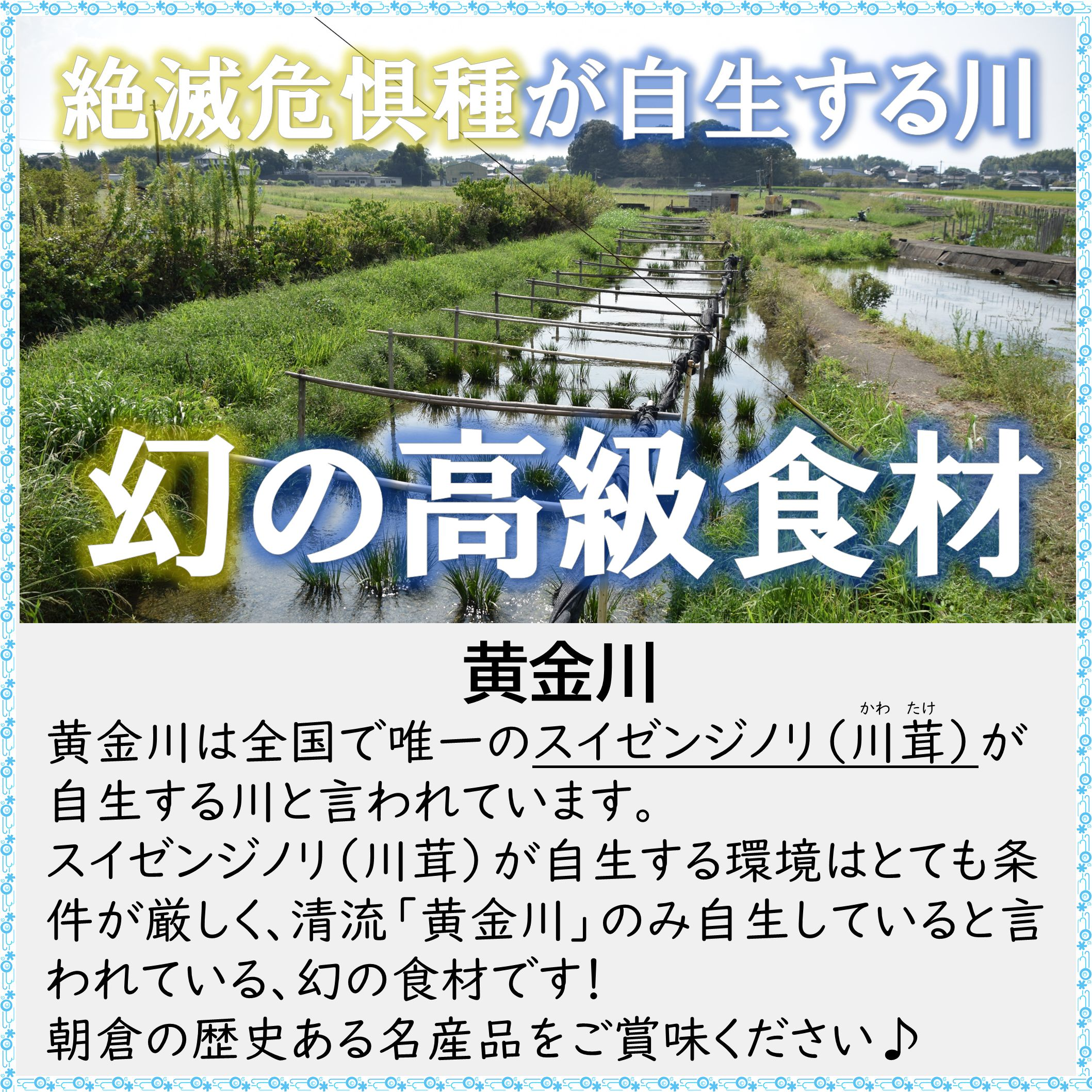 あさくら水の回廊キャンペーン対象スポット一覧の画像10