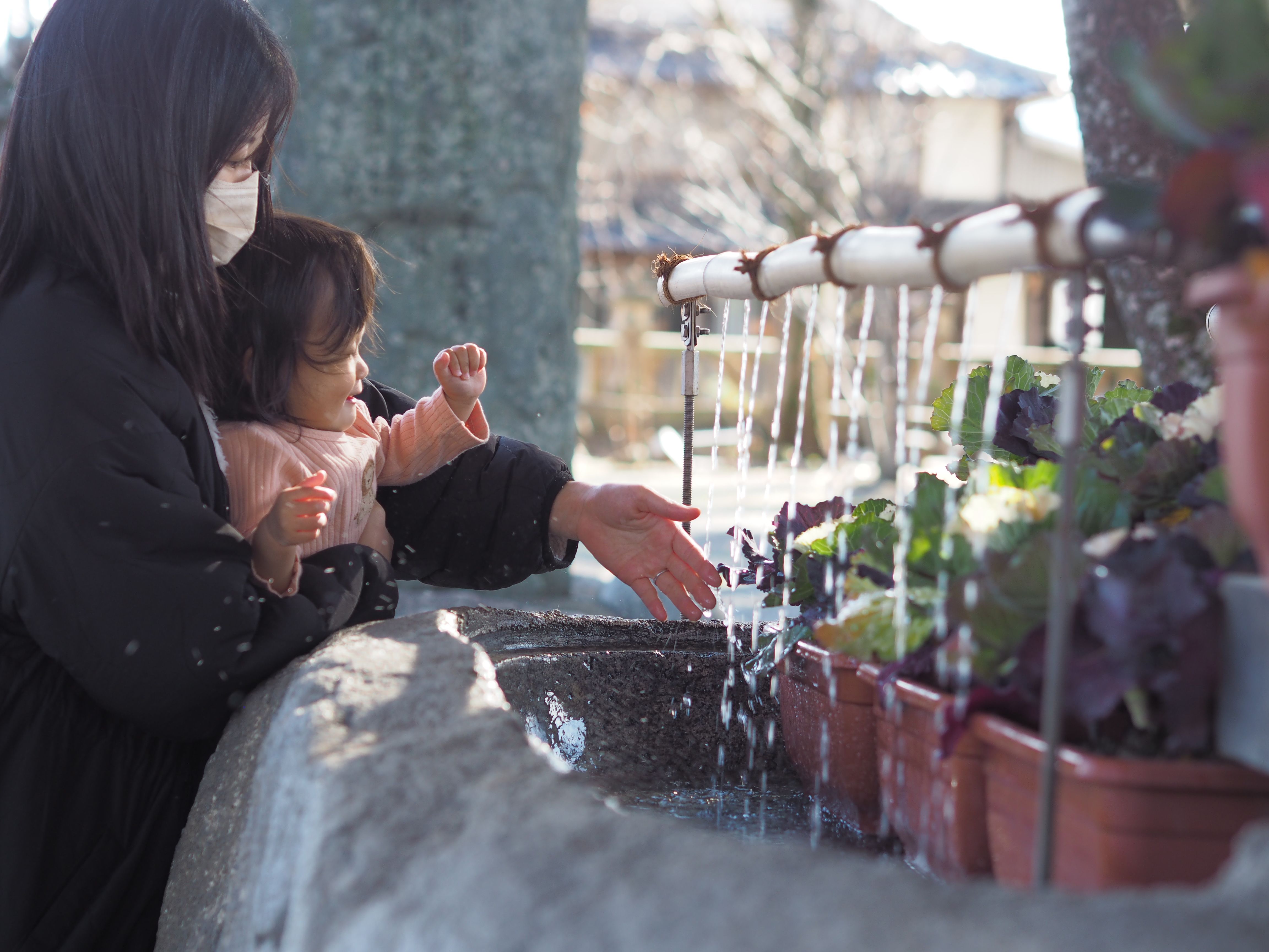 金賞(美奈宜神社でお清めする娘と孫)の画像