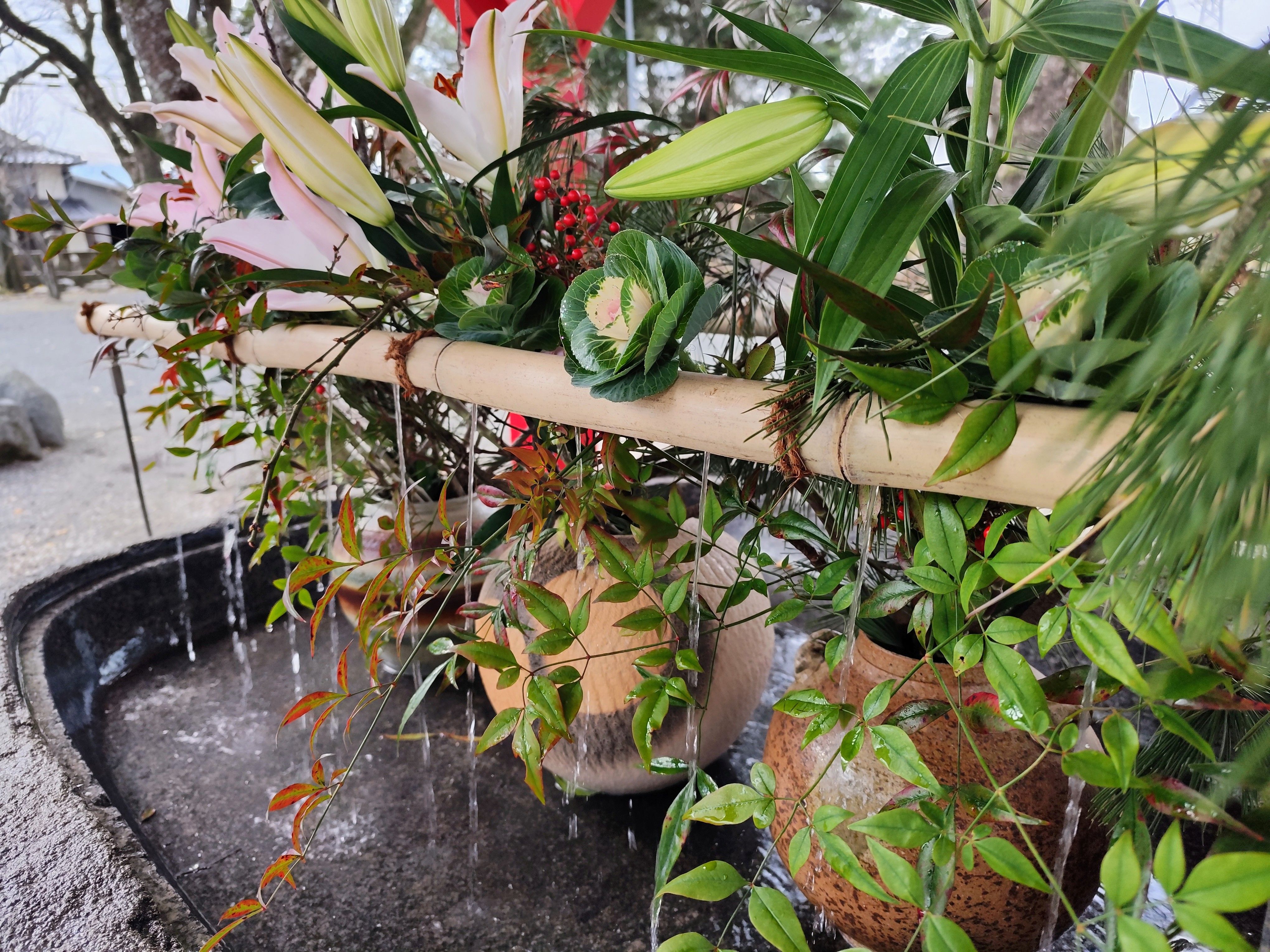 銅賞(美奈宜神社 華やかな花手水)の画像