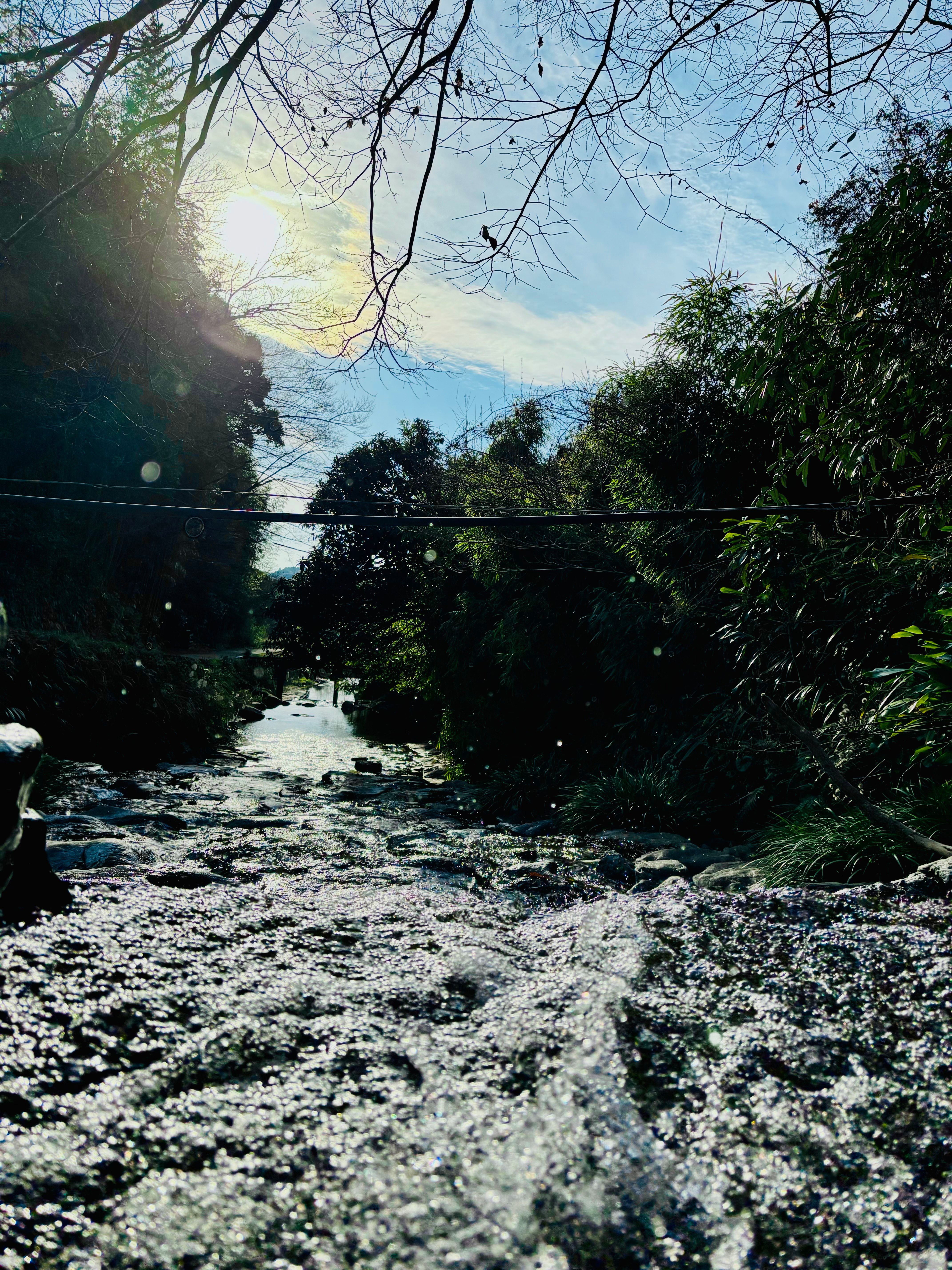 銅賞(冬の陽と野鳥川)の画像