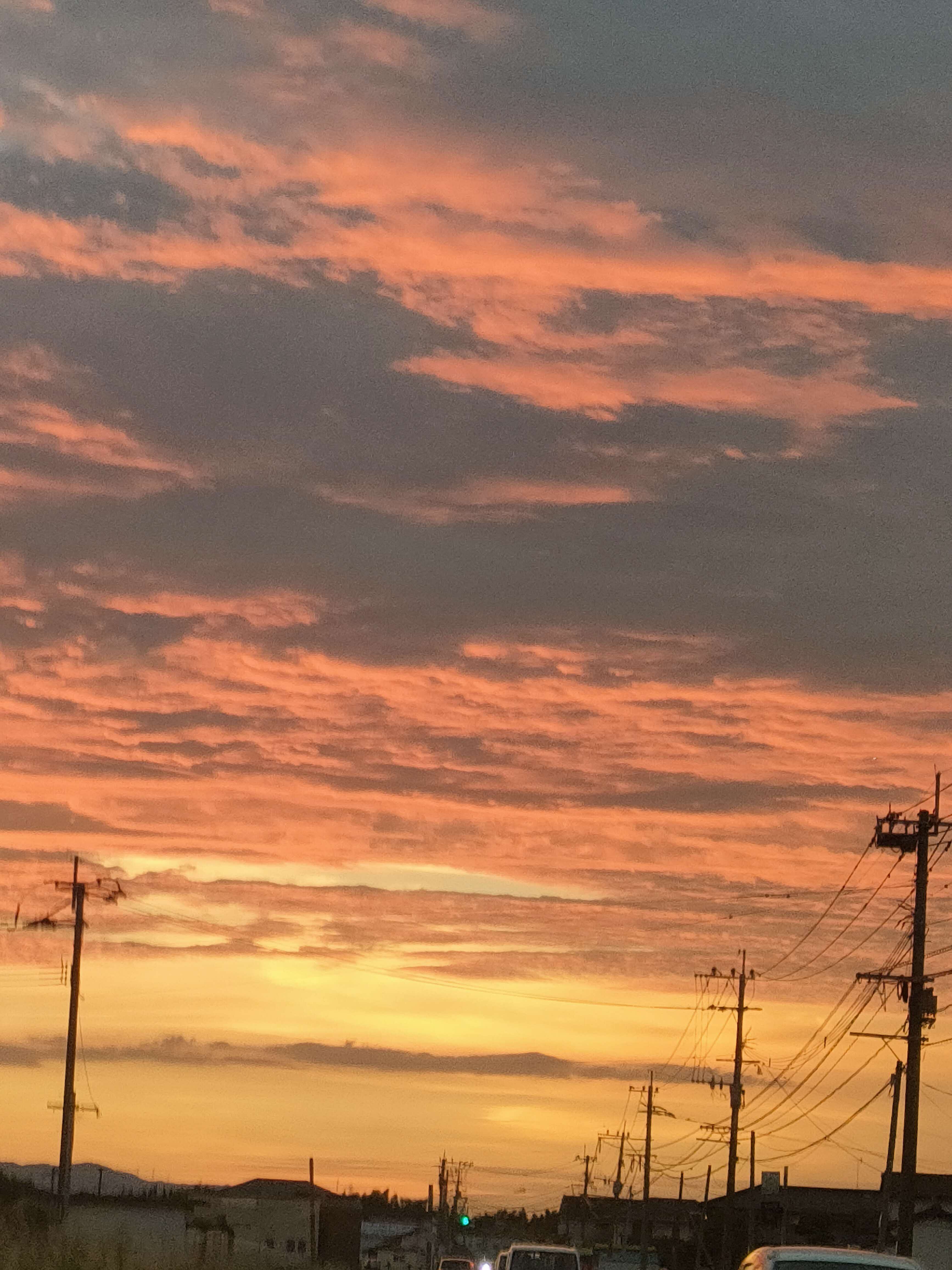 きれいなゆうひだなの画像