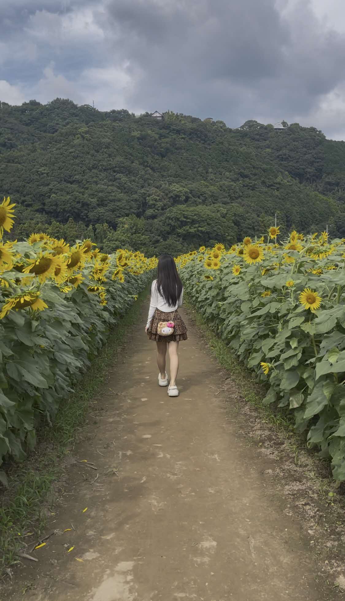 ギャルの細道の画像