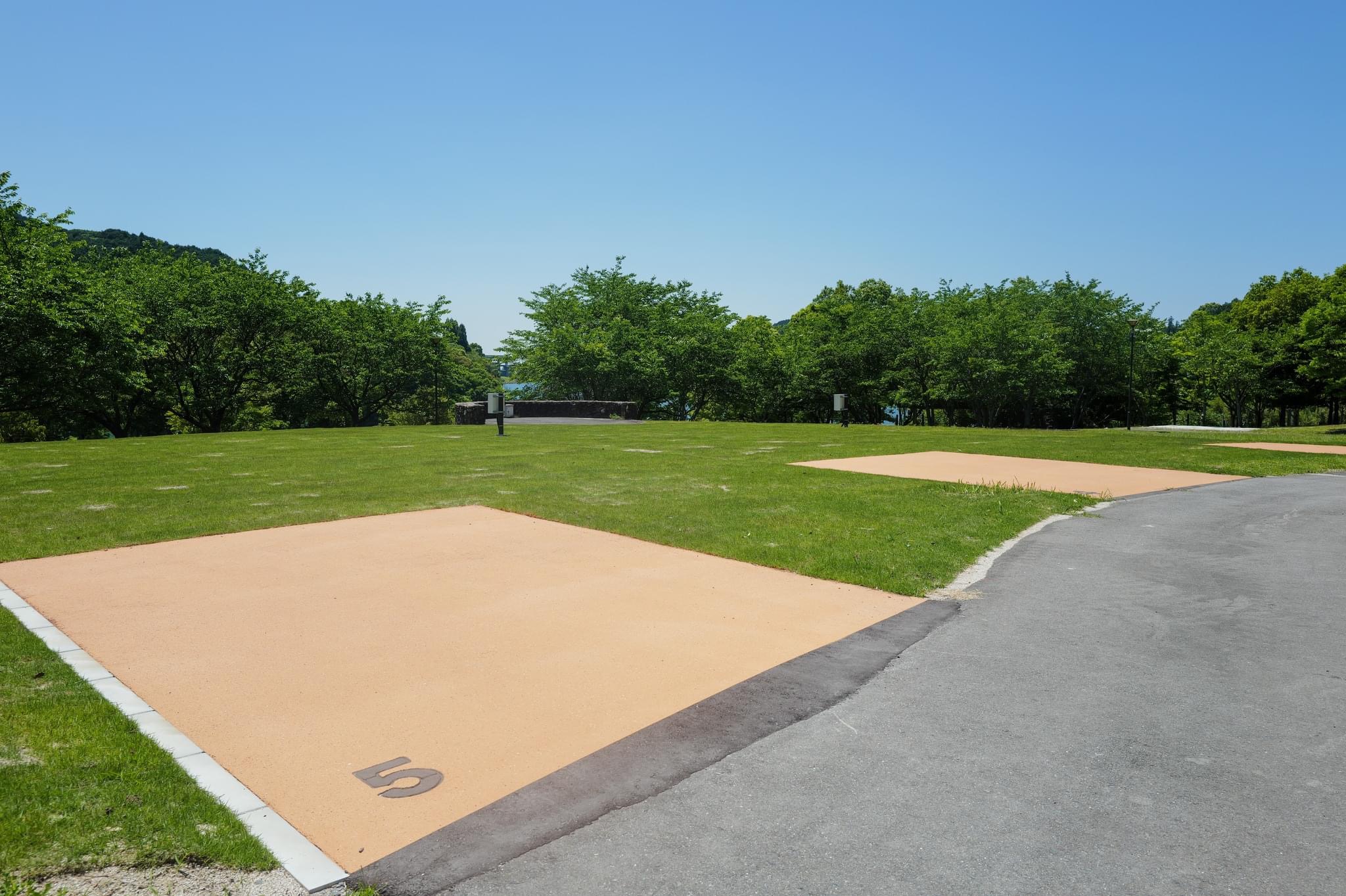 電源付きオートサイト