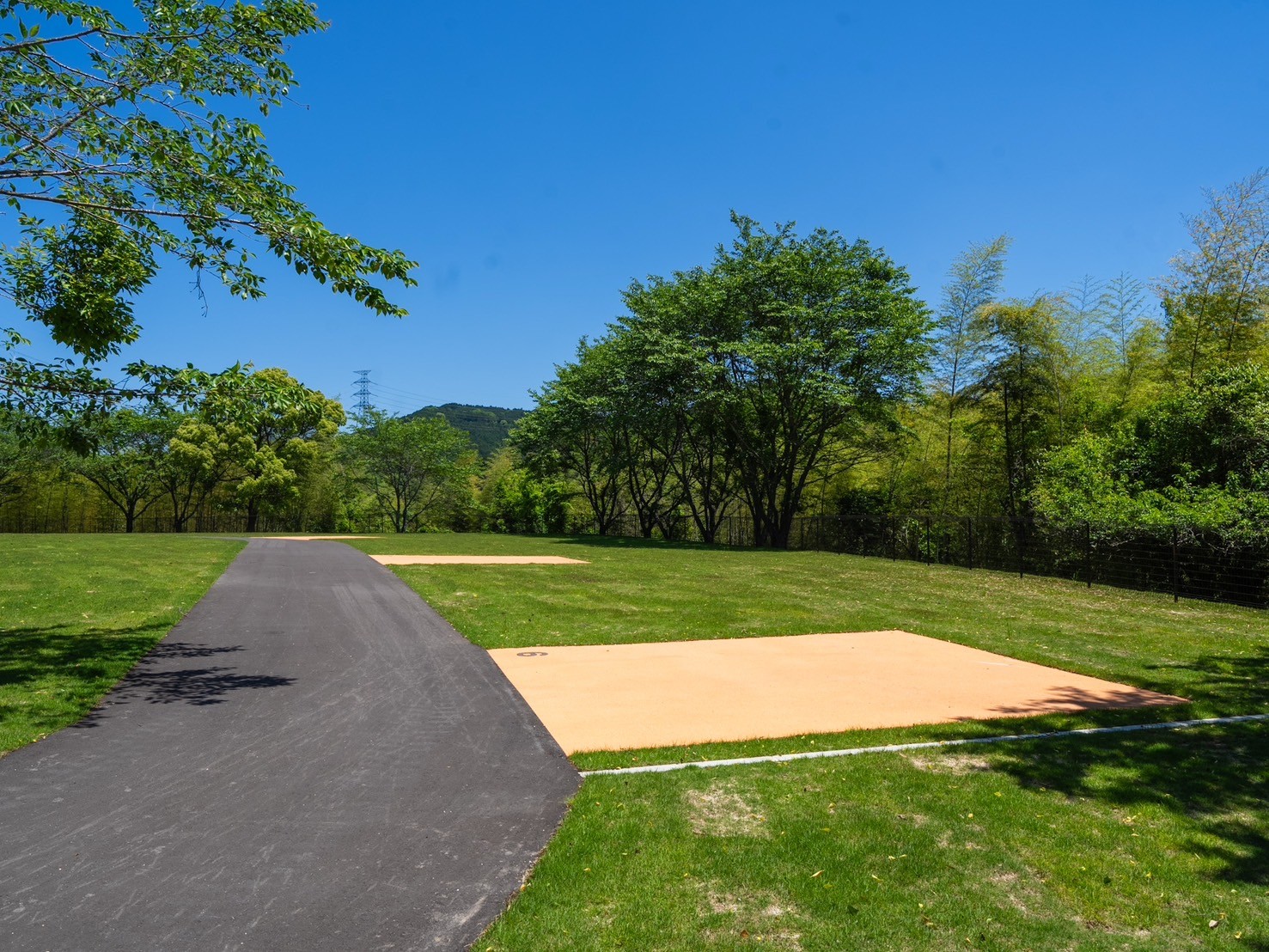 電源無しオートサイト