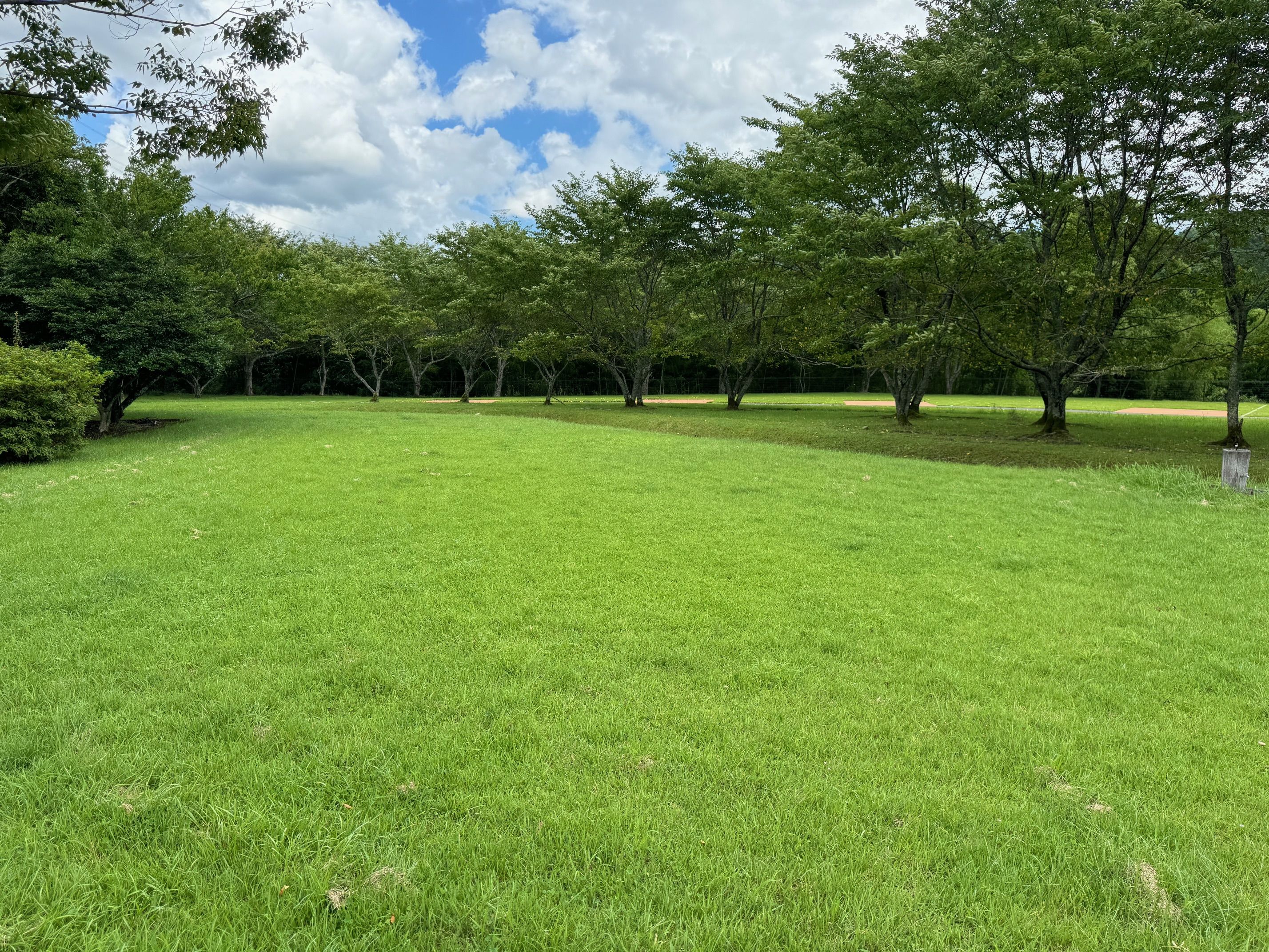 フリーサイトの画像