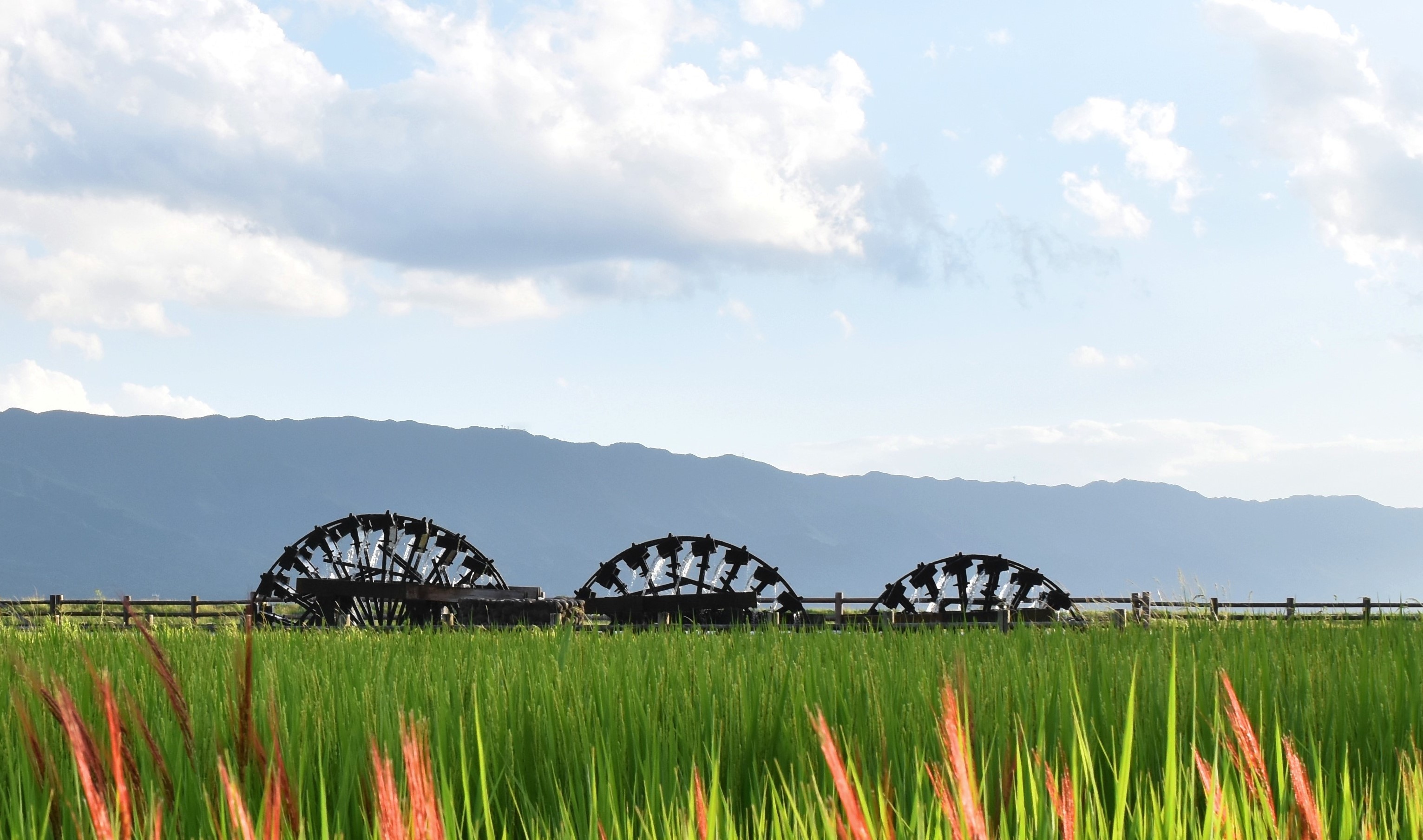 朝倉の三連水車の画像