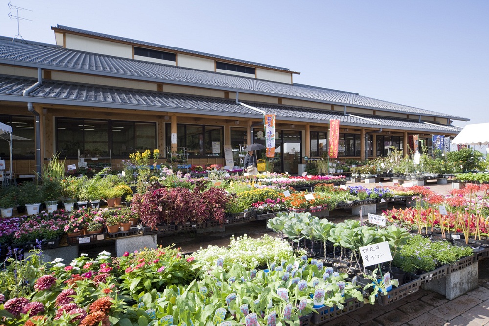 三連水車の里あさくらの画像