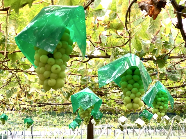 旬菜板屋の画像2