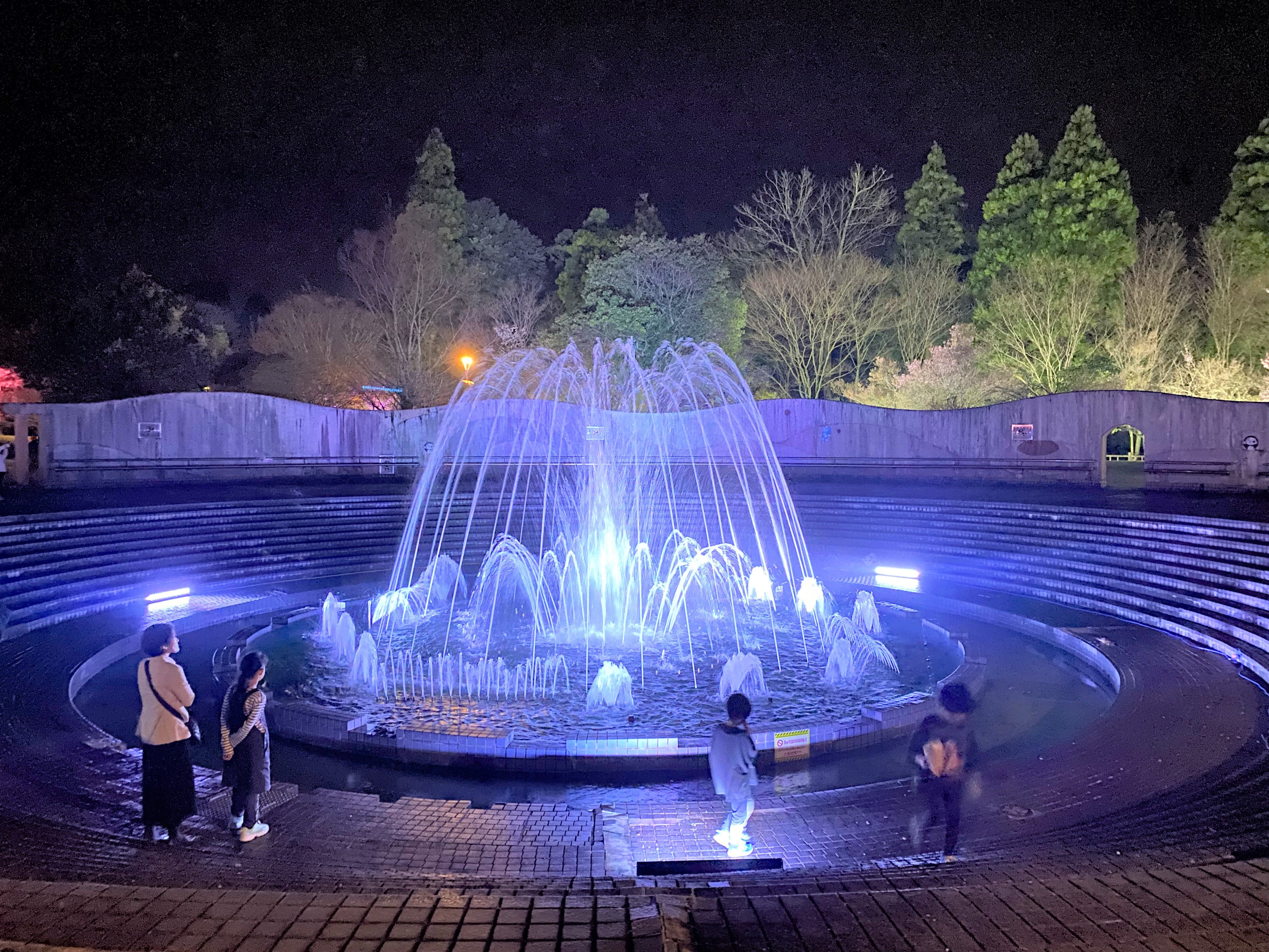 ふれあい噴水(ライトアップあ!さくら~水灯桜(すいとうよう)~の様子)の画像