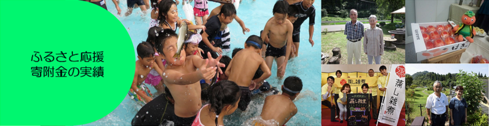ふるさと応援寄附金の実績の画像