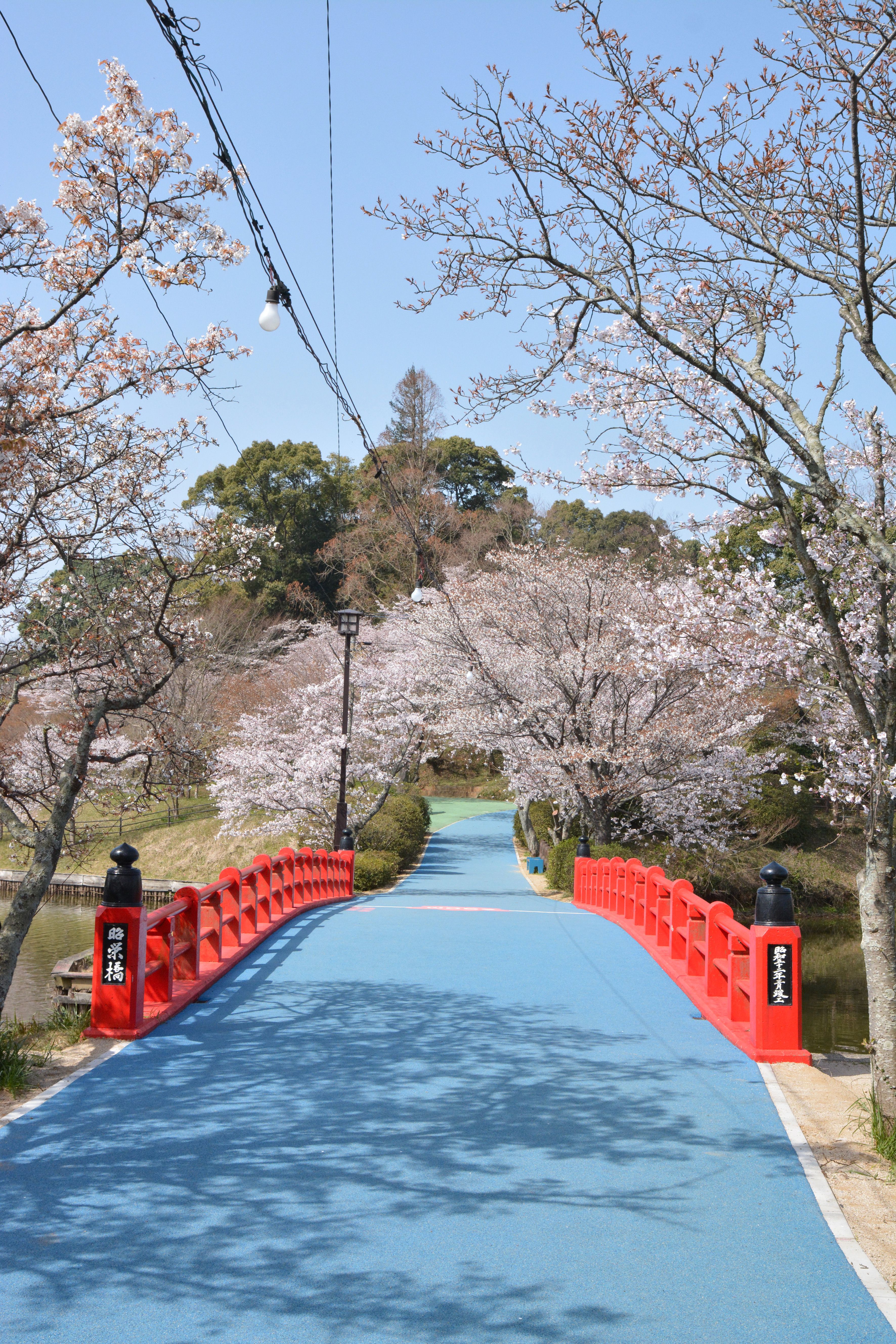 甘木公園の画像1