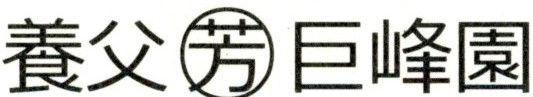 養父芳巨峰園