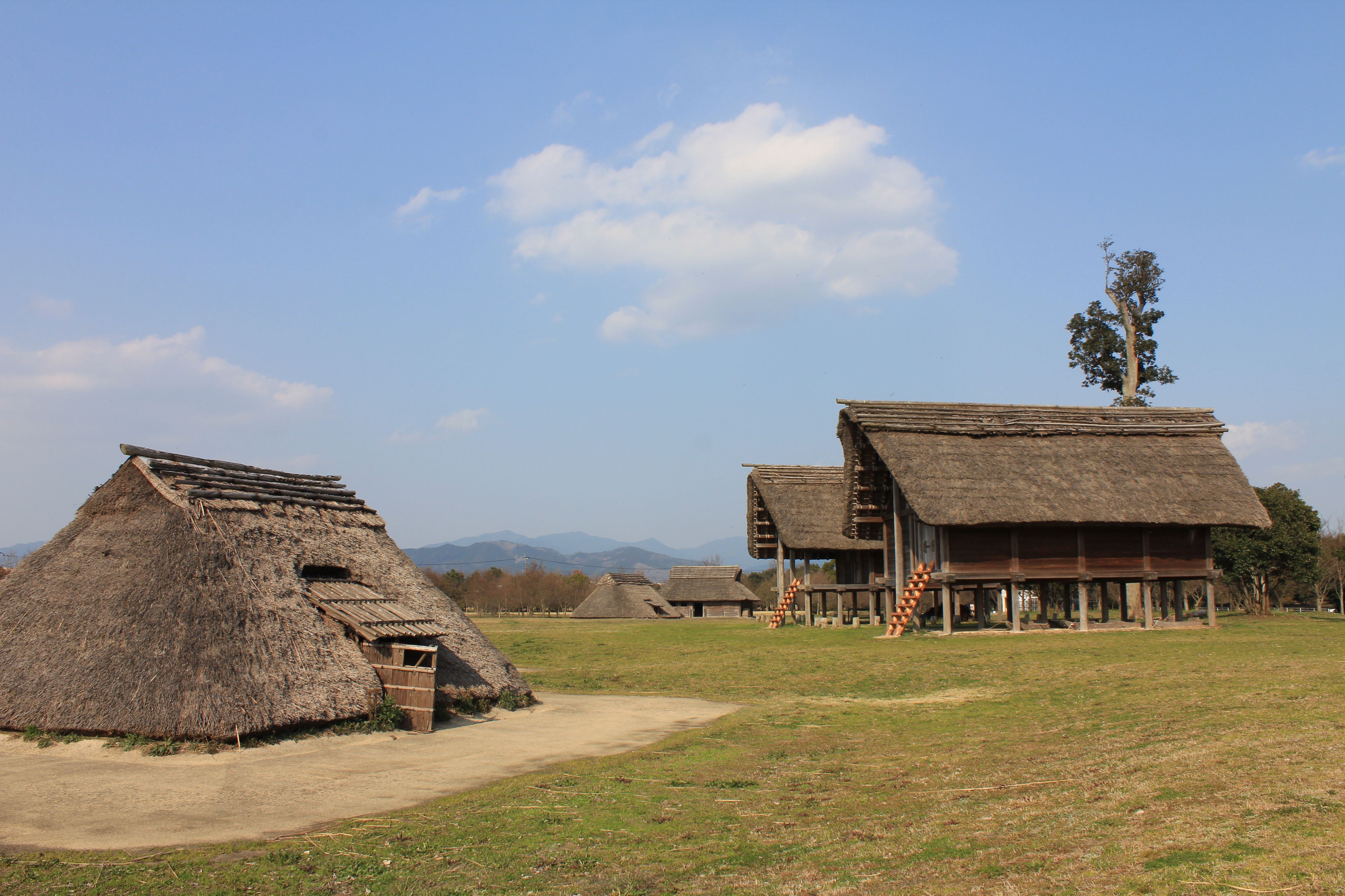 平塚川添遺跡公園の画像