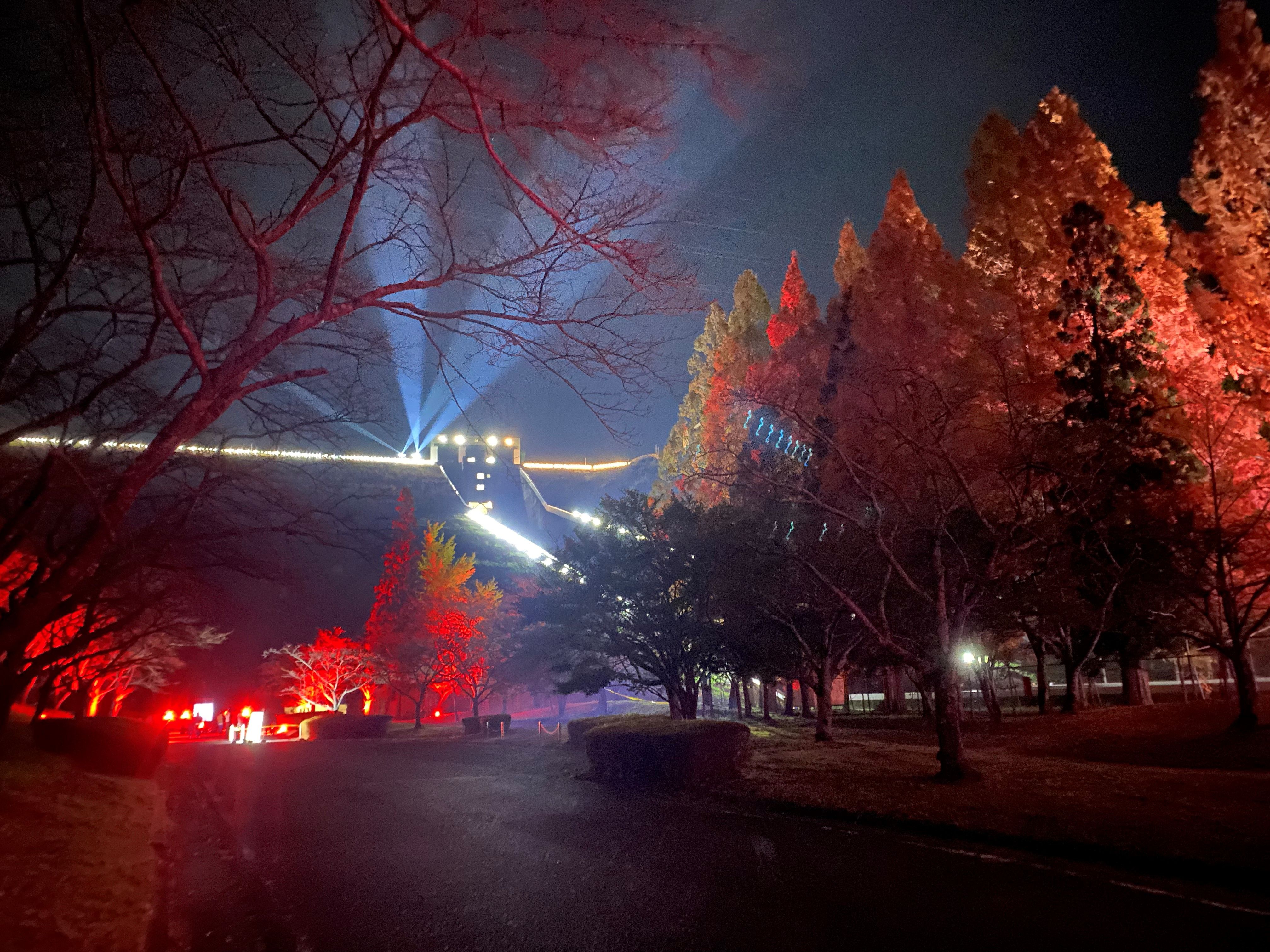 寺内ダムライトアップ(TDL)の画像