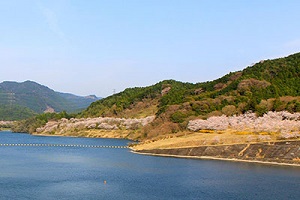 美奈宜湖畔の画像