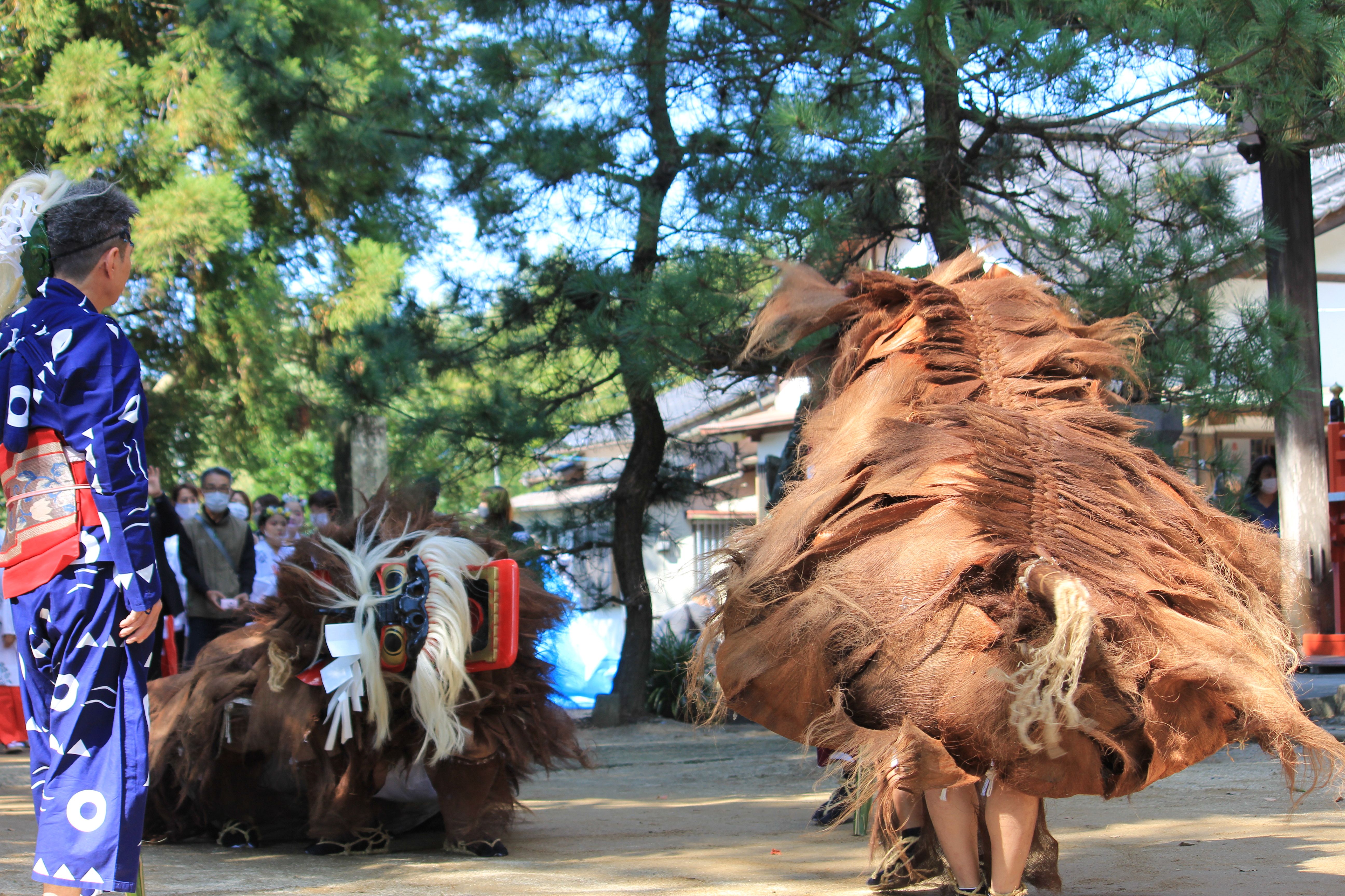 山田区の荒獅子の画像