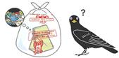 ゴミとカラスの画像2