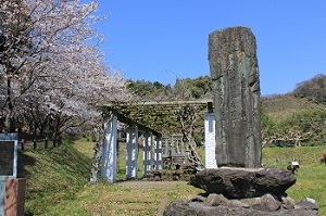 木の丸公園の桜_秋の田の歌碑