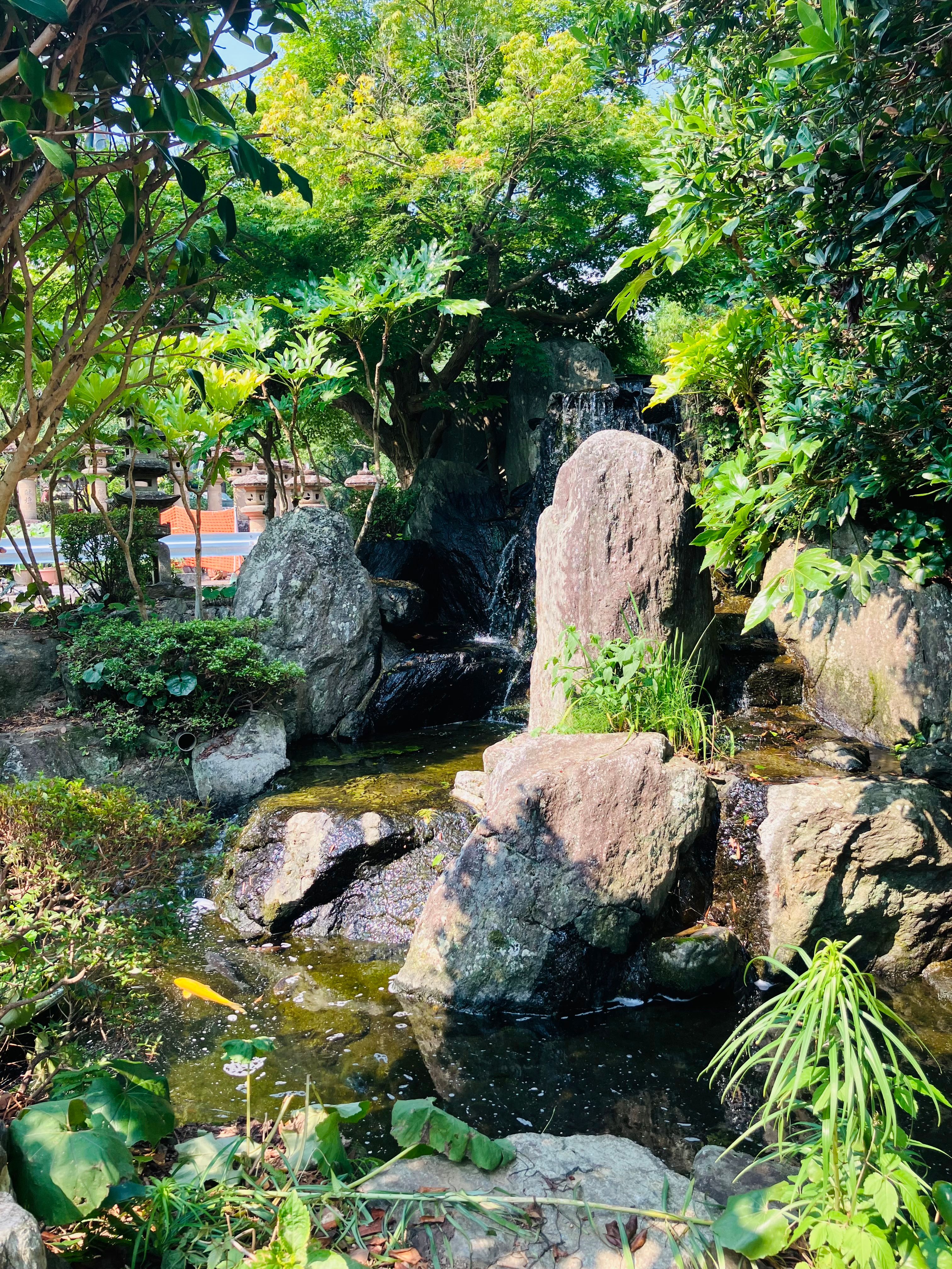 自然豊かなスポットの画像