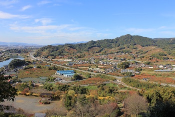 展望台からの景色-1