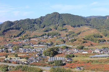 展望台からの景色-2