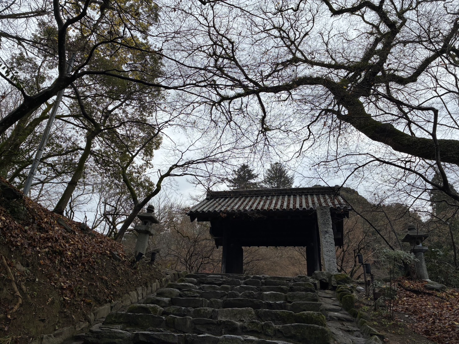 12月15日撮影の画像1