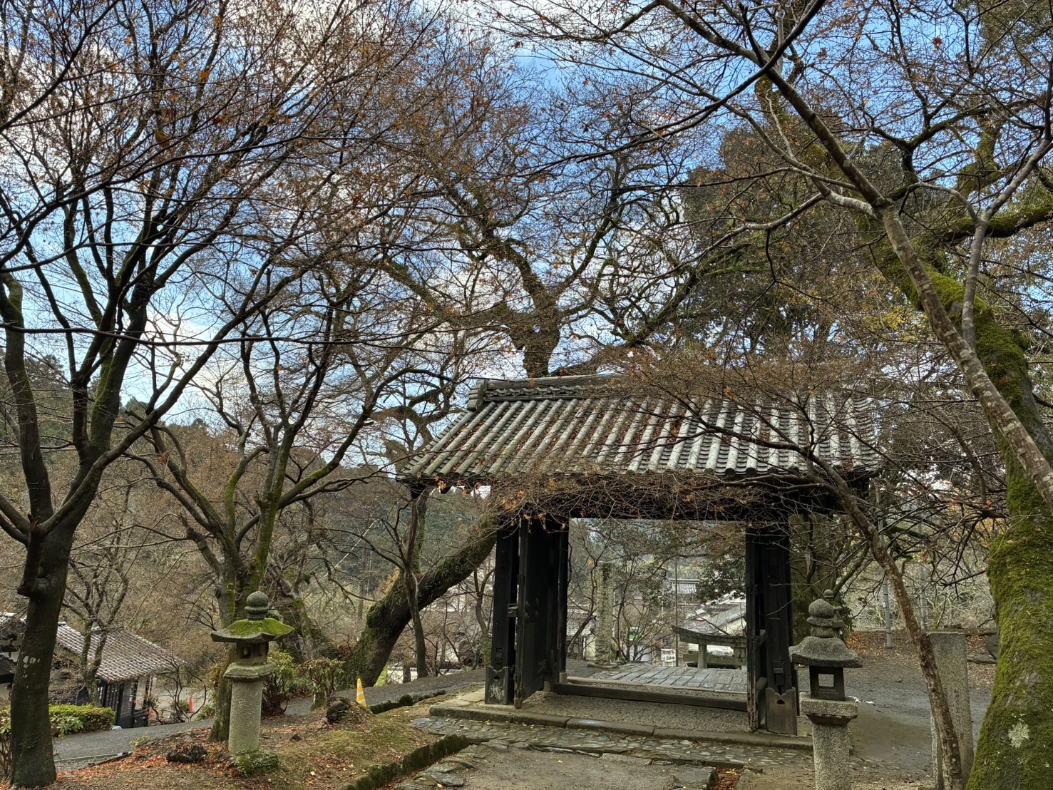 12月15日撮影の画像2