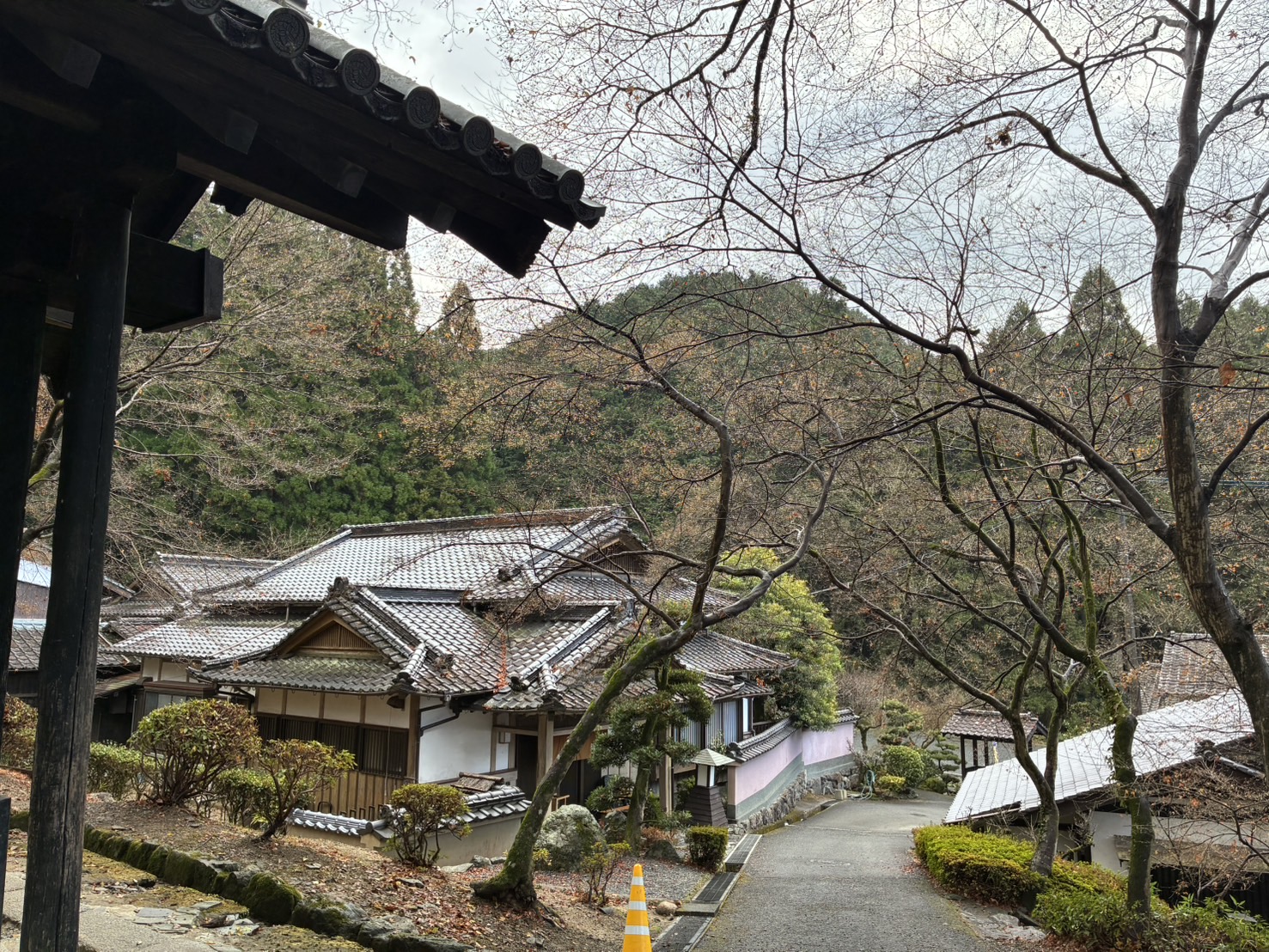 12月15日撮影の画像3