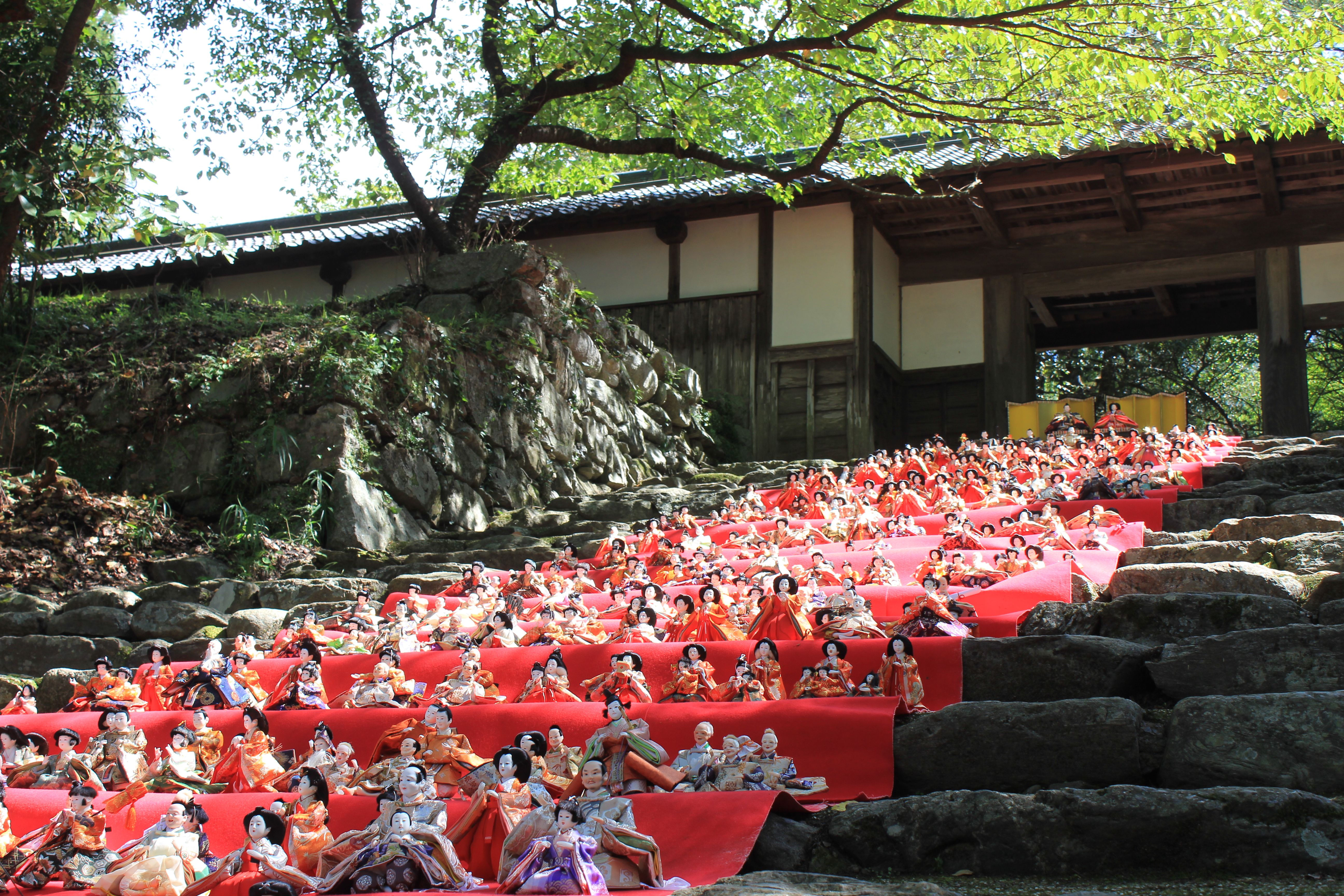 秋月後の雛の画像