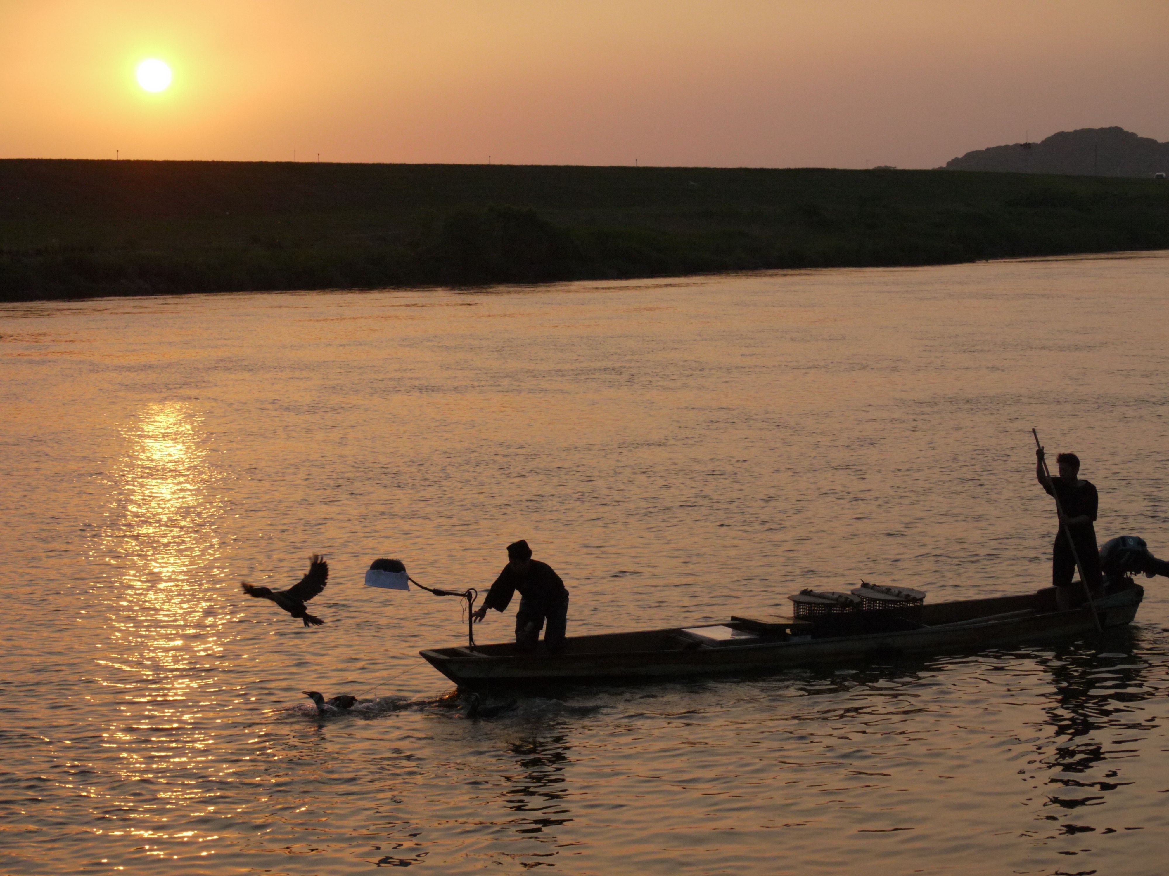 筑後川の鵜飼の概要の画像