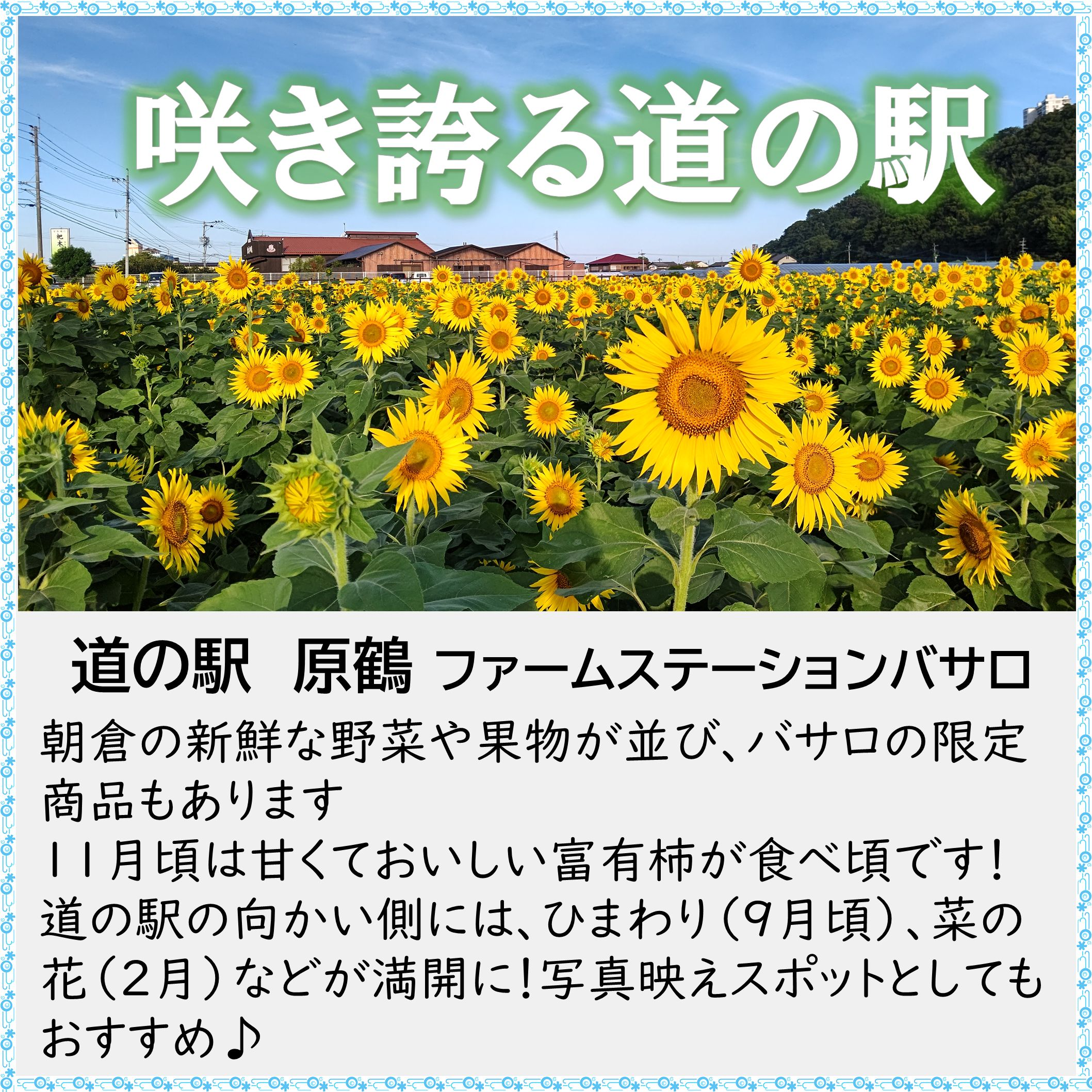 周辺施設の画像2