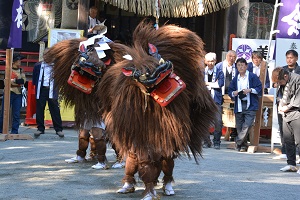 10月21日蜷城くんちの画像