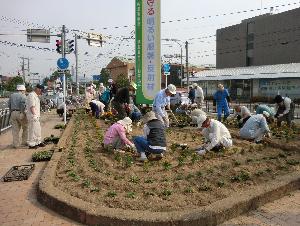 植栽風景の画像1