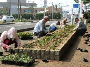 植栽風景の画像2