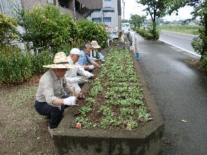 植栽風景の画像3
