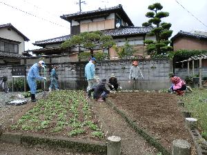植栽風景の画像4
