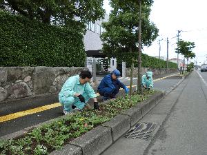 植栽風景の画像6