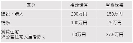 （2）支給額の画像