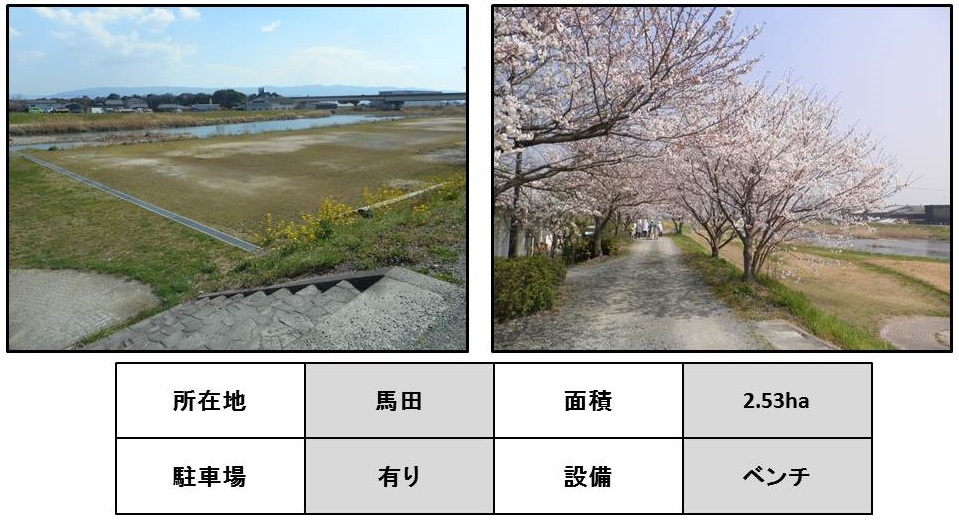 馬田遊水公園の基本情報の画像1