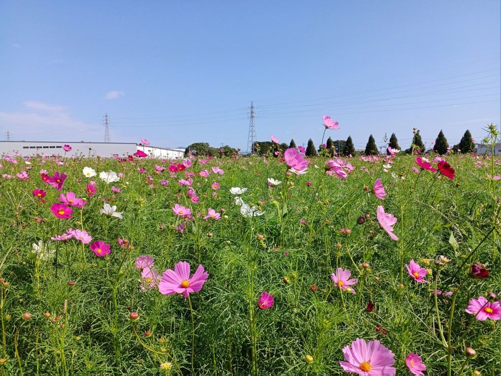 視察研修の画像2