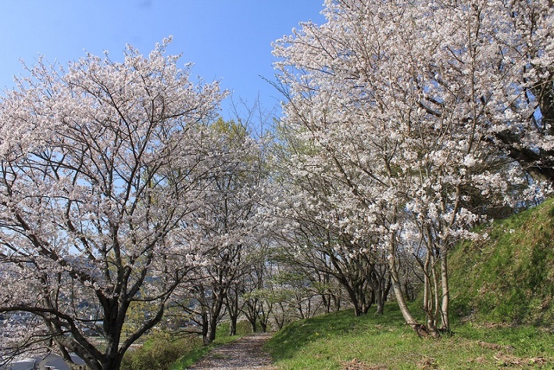 神籠石公園の画像