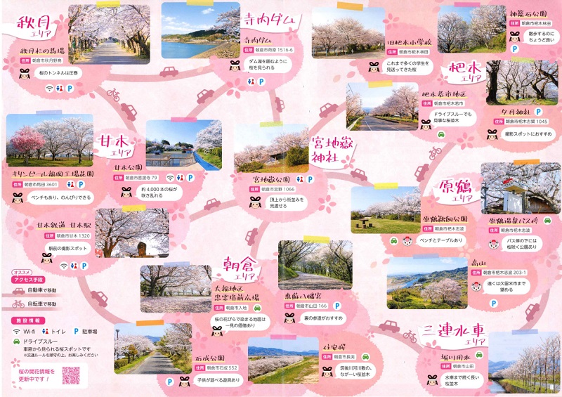 「あ、さくら深発見」チラシについての画像