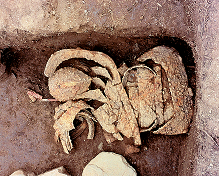 堤当正寺古墳出土品の画像