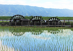 企業版ふるさと納税のイメージ写真