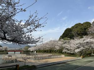 令和7年の様子1