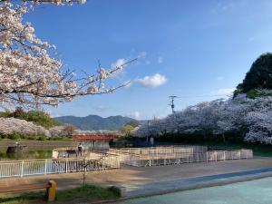 令和7年の様子2